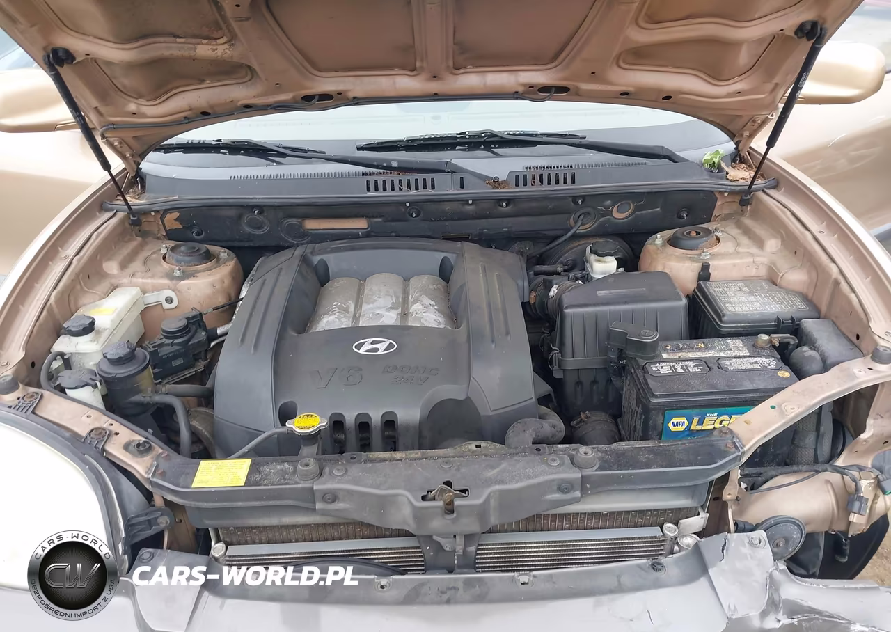 2004 Hyundai Santa Fe Gls VIN:KM8SC73D04U742464 - 10