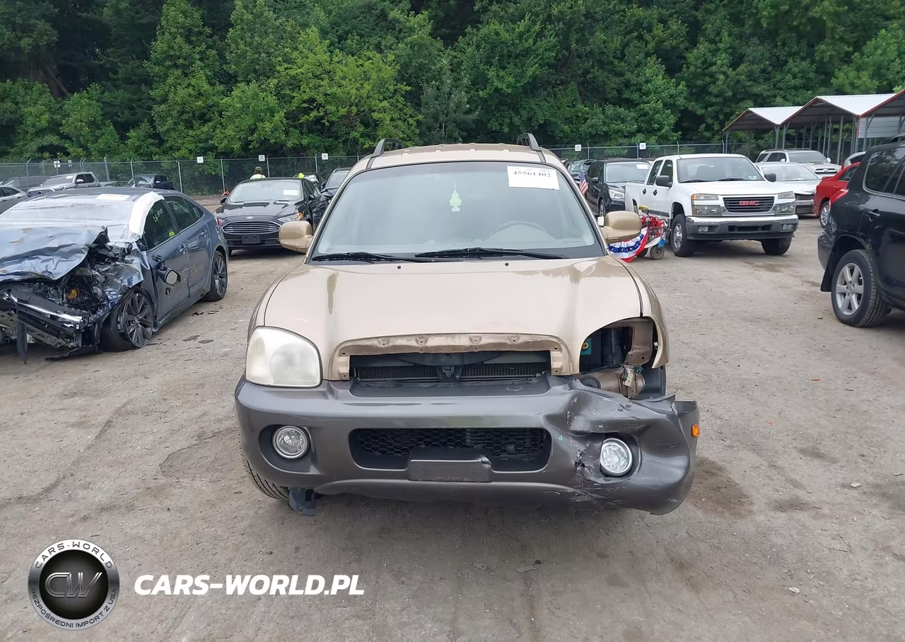 2004 Hyundai Santa Fe Gls VIN:KM8SC73D04U742464 - 13