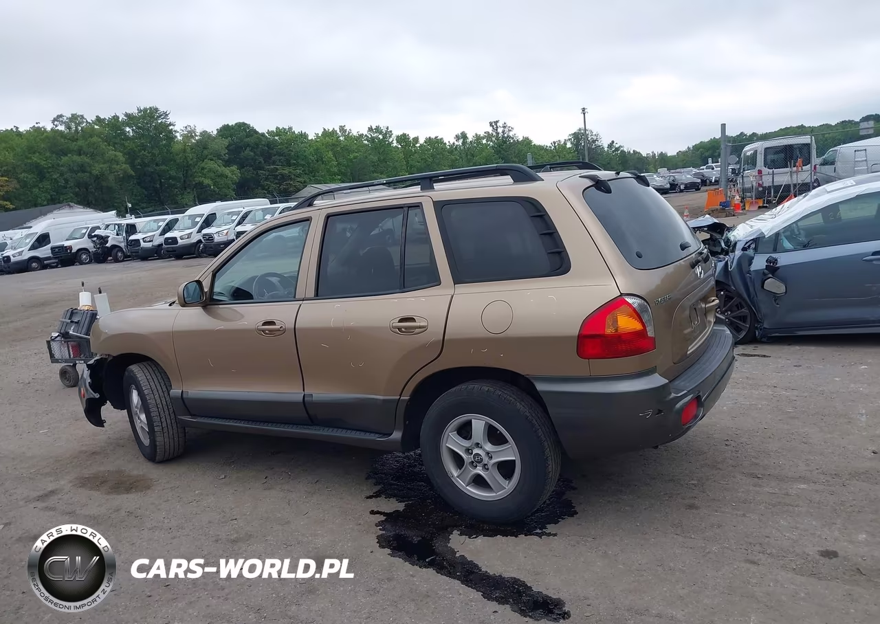 2004 Hyundai Santa Fe Gls VIN:KM8SC73D04U742464 - 15