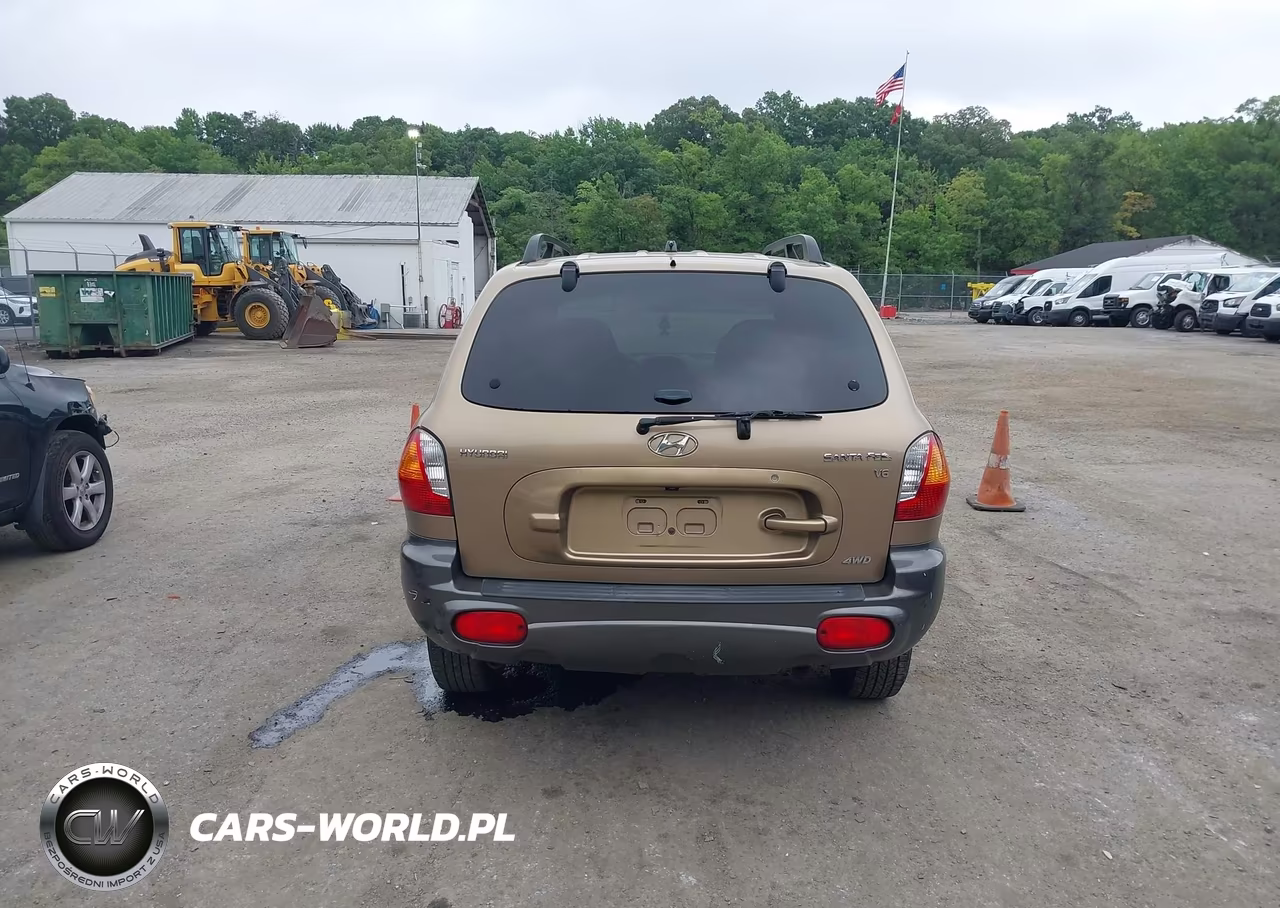 2004 Hyundai Santa Fe Gls VIN:KM8SC73D04U742464 - 17
