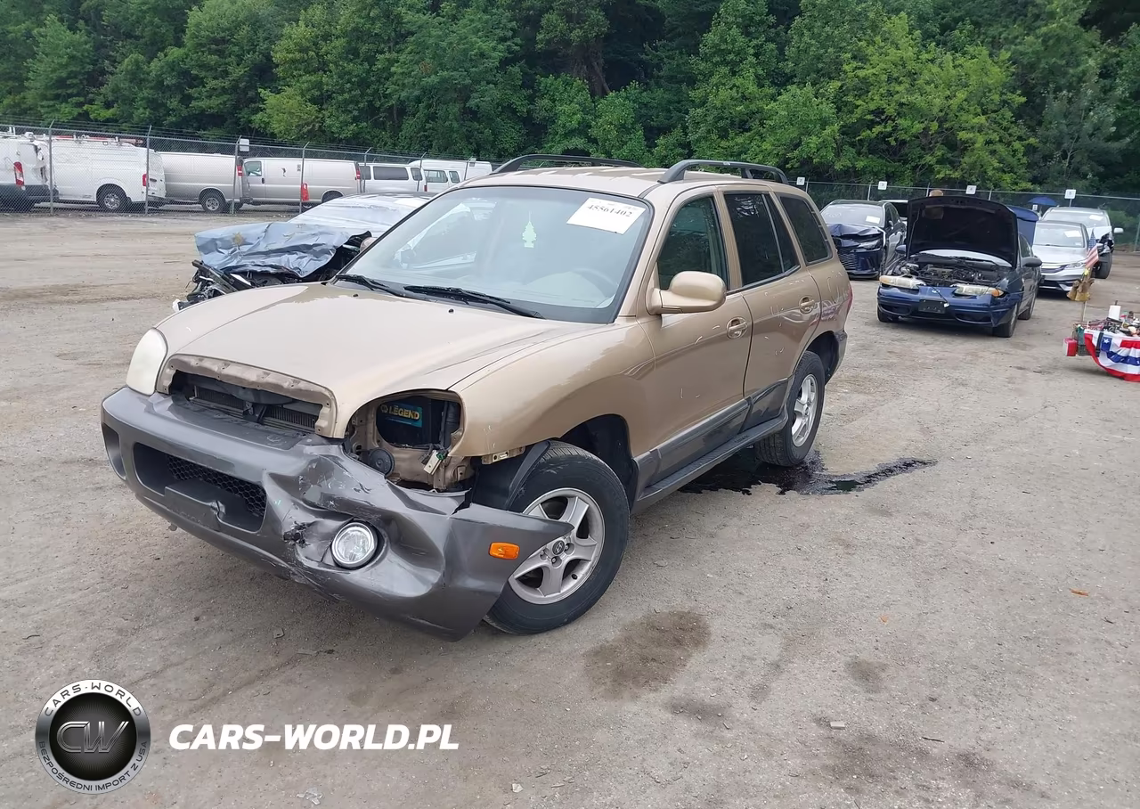 2004 Hyundai Santa Fe Gls VIN:KM8SC73D04U742464 - 2