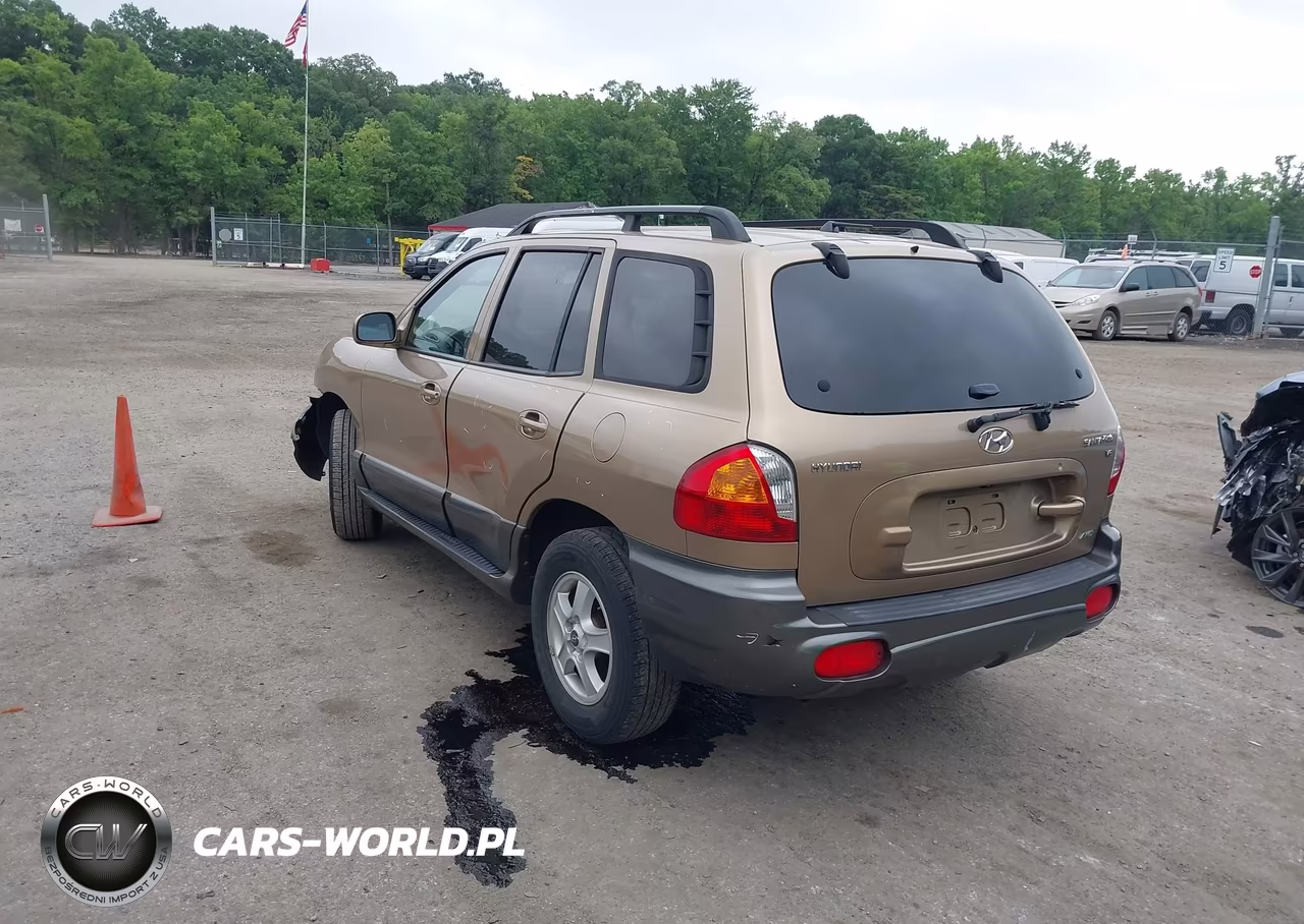 2004 Hyundai Santa Fe Gls VIN:KM8SC73D04U742464 - 3