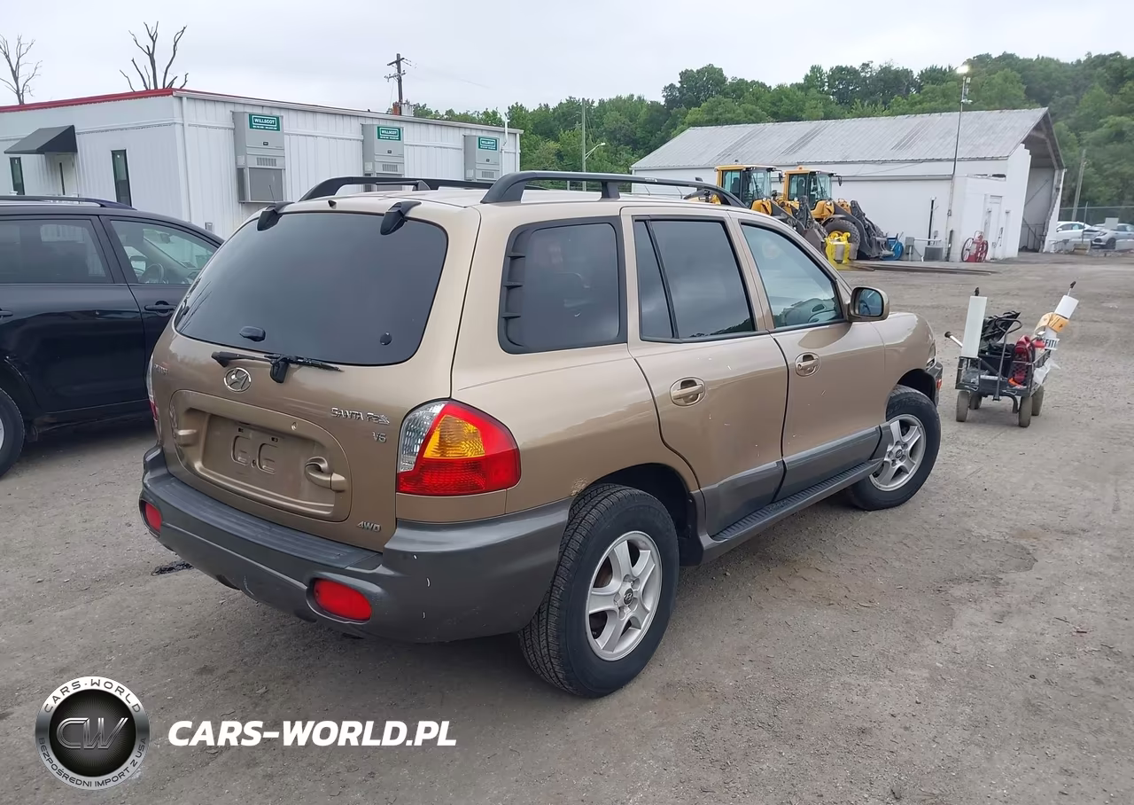 2004 Hyundai Santa Fe Gls VIN:KM8SC73D04U742464 - 4