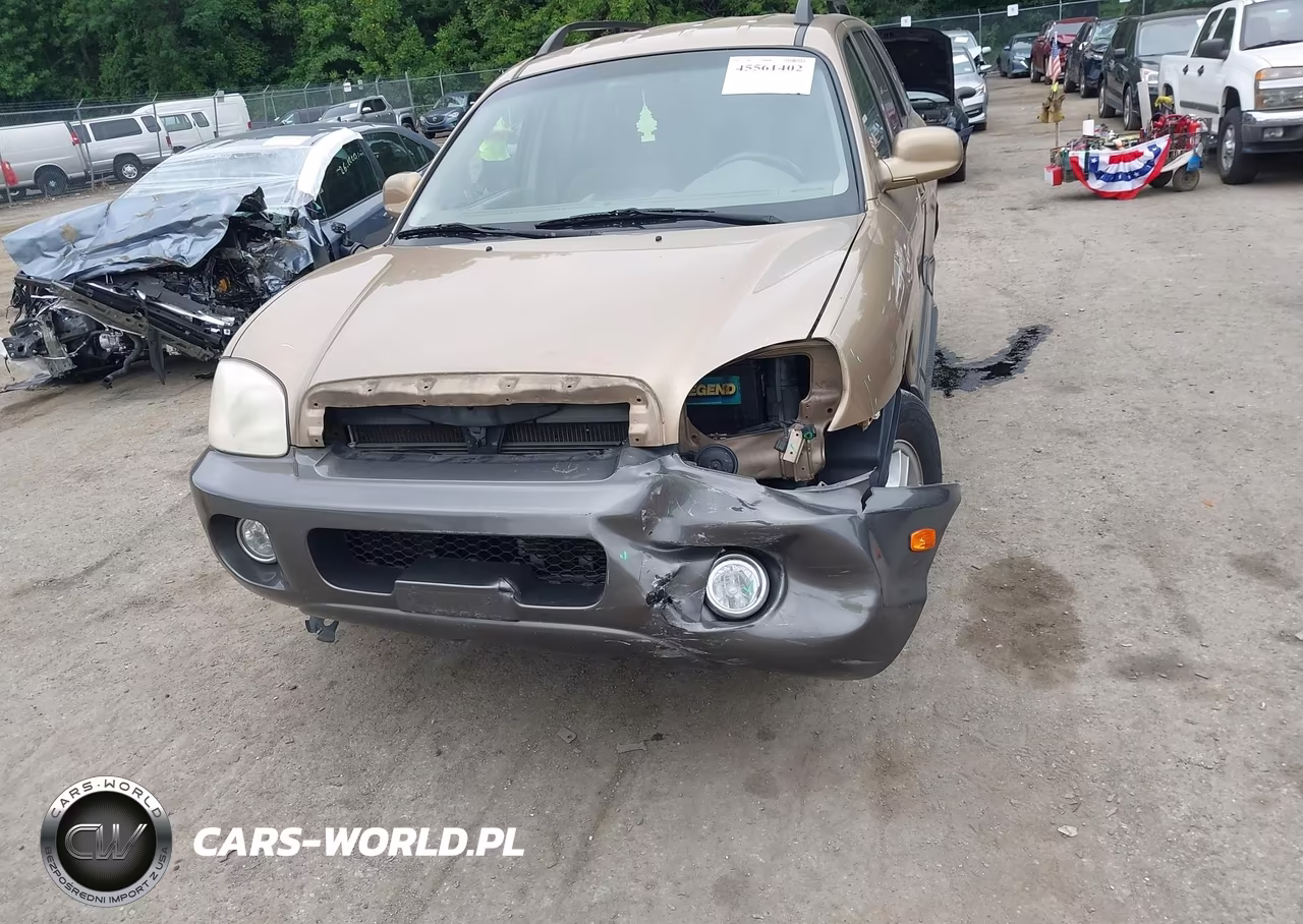 2004 Hyundai Santa Fe Gls VIN:KM8SC73D04U742464 - 6