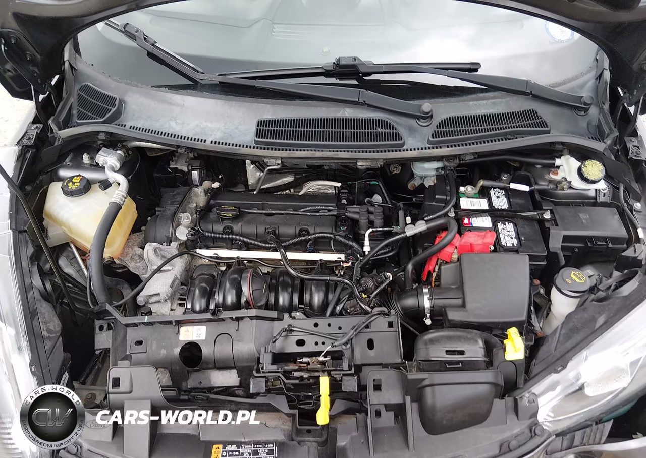 2016 Ford Fiesta Se VIN:3FADP4BJ2GM193095 - 10