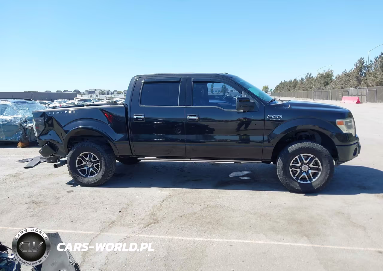 2013 Ford F-150 Fx2-King Ranch-Lariat-Limited-Platinum-Xl-Xlt VIN:1FTFW1CT2DFA05918 - 13