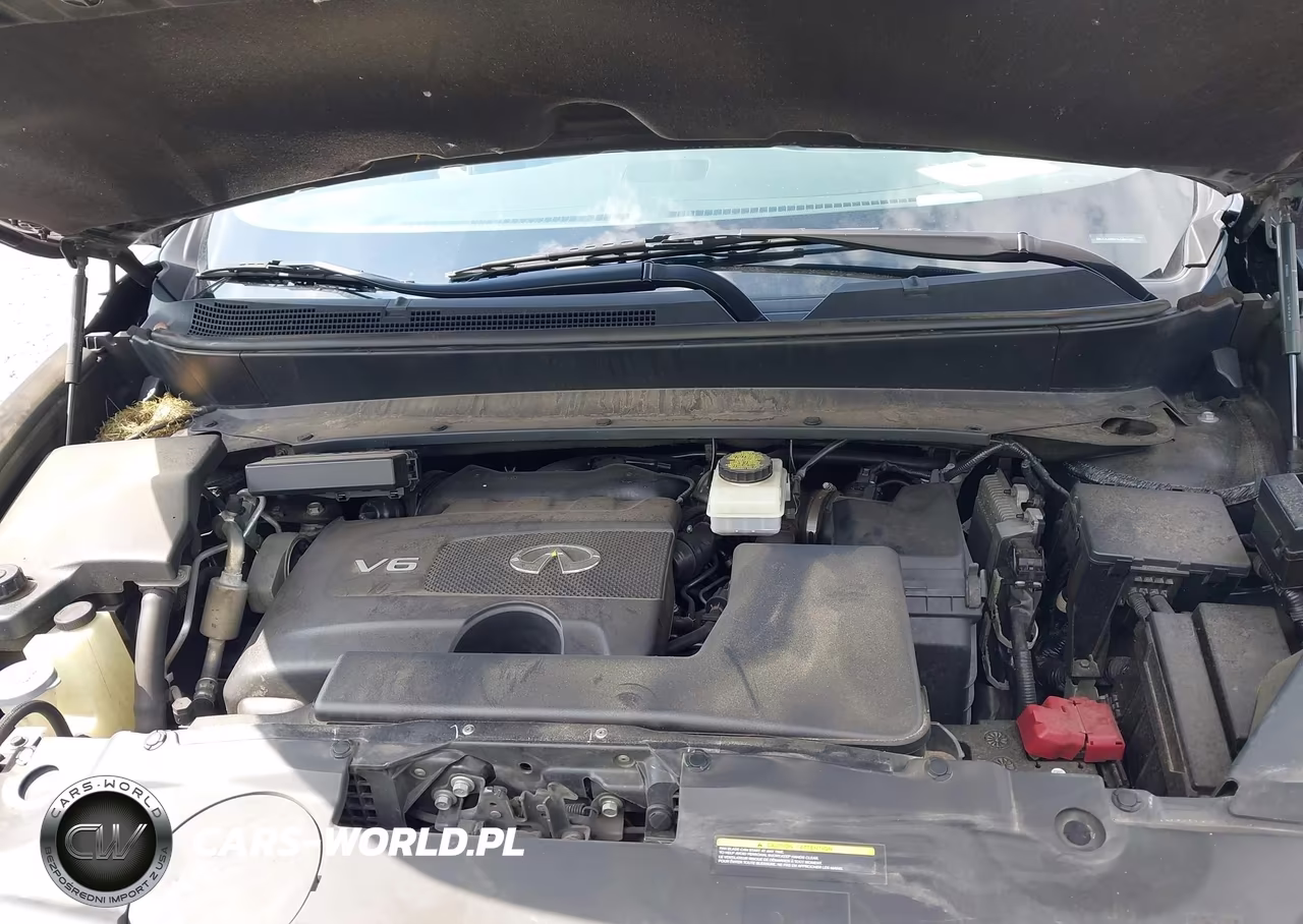 2020 Infiniti Qx60 Pure VIN:5N1DL0MN1LC547467 - 10