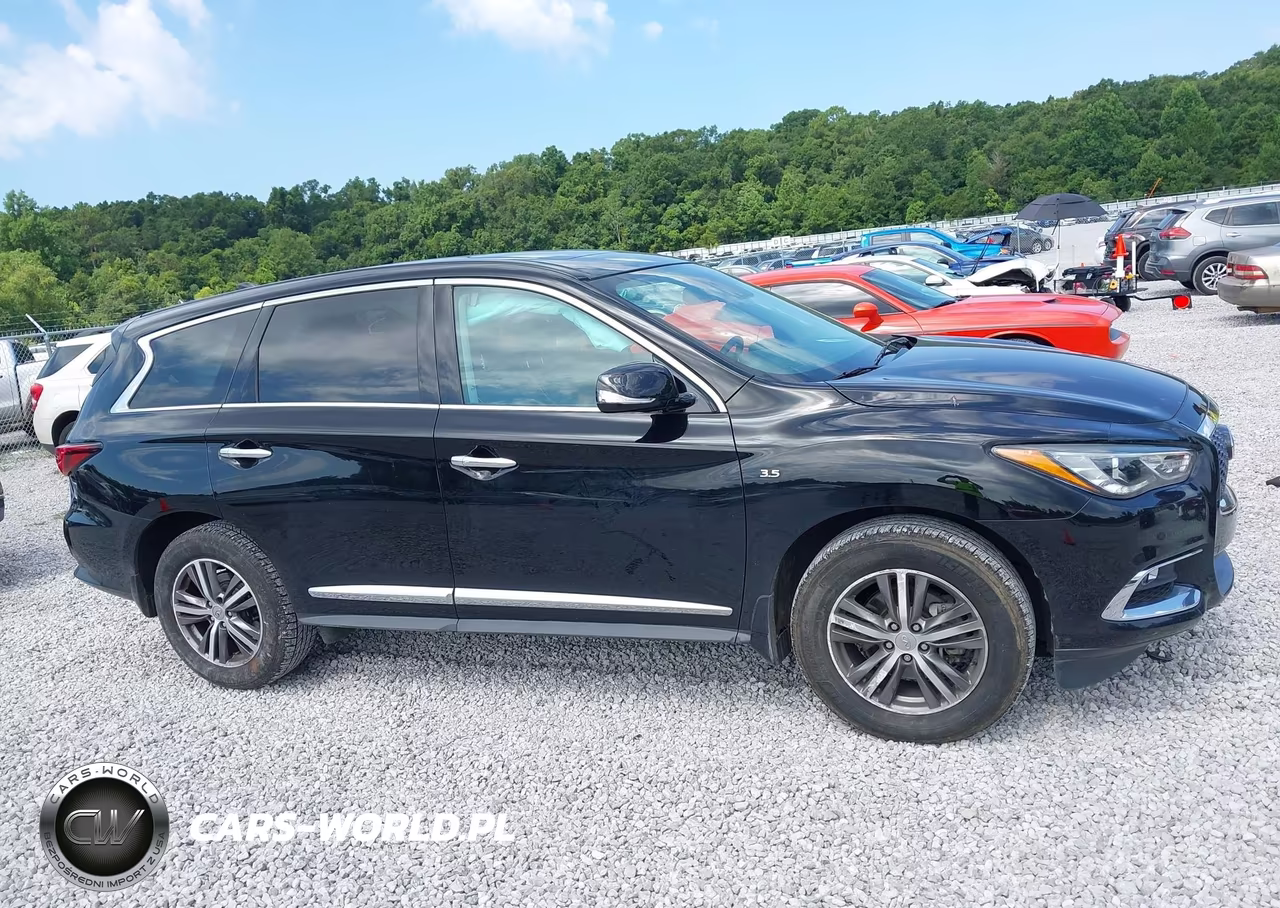 2020 Infiniti Qx60 Pure VIN:5N1DL0MN1LC547467 - 13