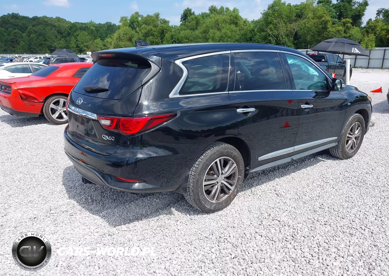 2020 Infiniti Qx60 Pure VIN:5N1DL0MN1LC547467 - 4