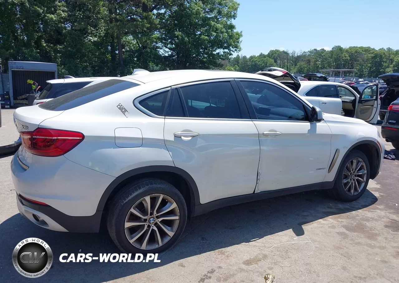 2017 BMW X6 xDrive35I VIN:5UXKU2C36H0U29622 - 13