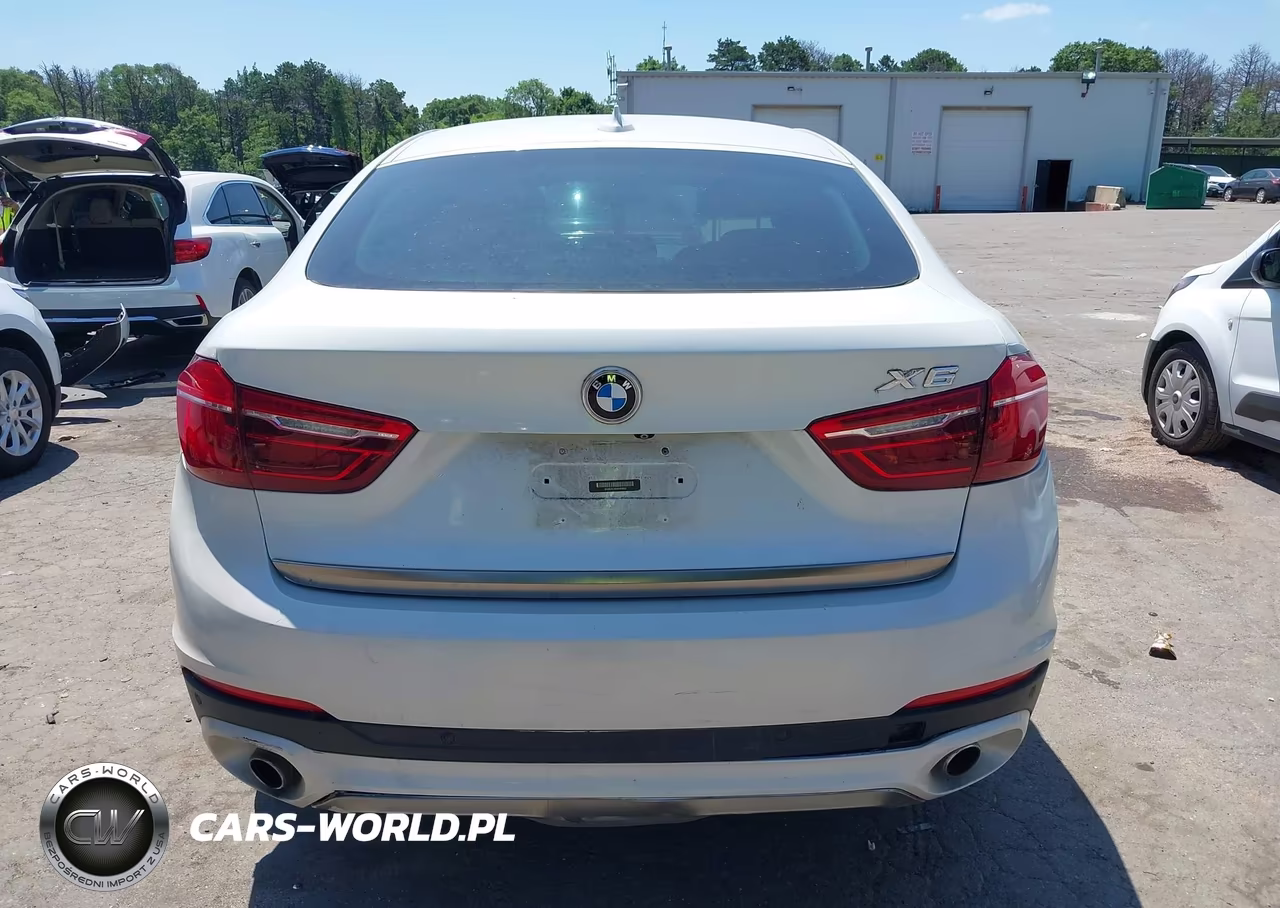 2017 BMW X6 xDrive35I VIN:5UXKU2C36H0U29622 - 16