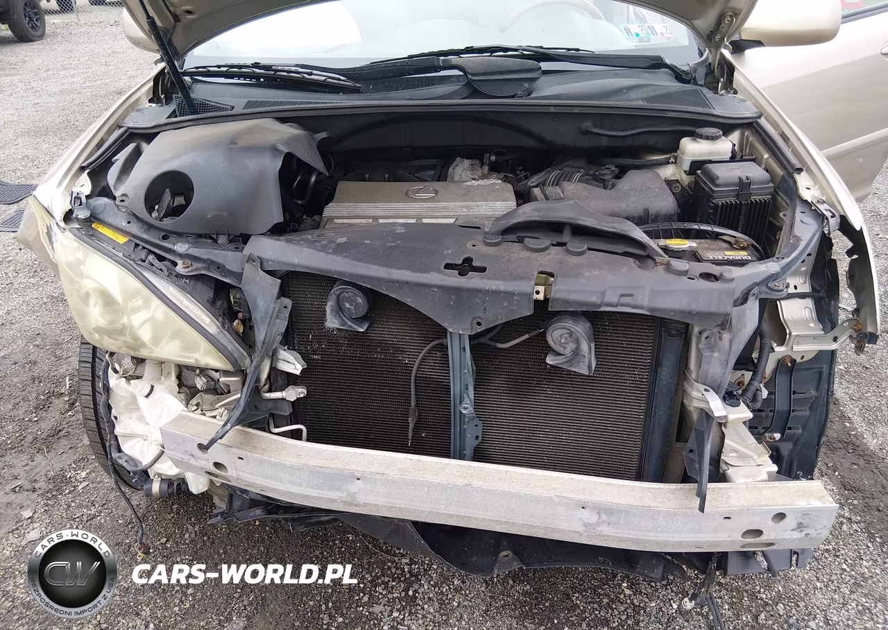 2004 Lexus Rx 330 VIN:2T2HA31U34C006059 - 10