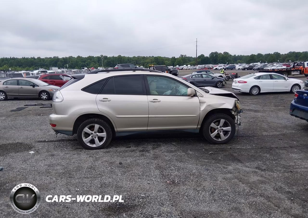 2004 Lexus Rx 330 VIN:2T2HA31U34C006059 - 14