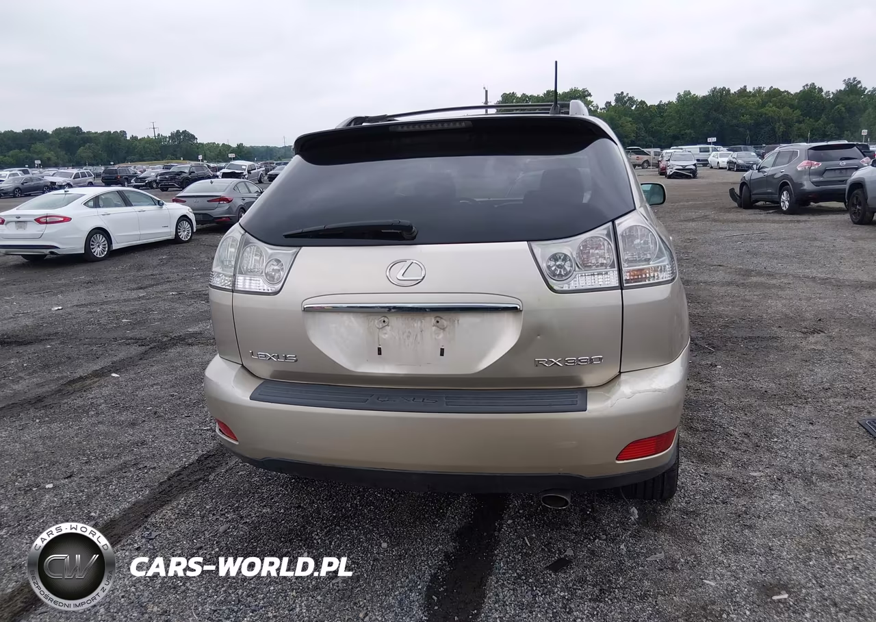 2004 Lexus Rx 330 VIN:2T2HA31U34C006059 - 17