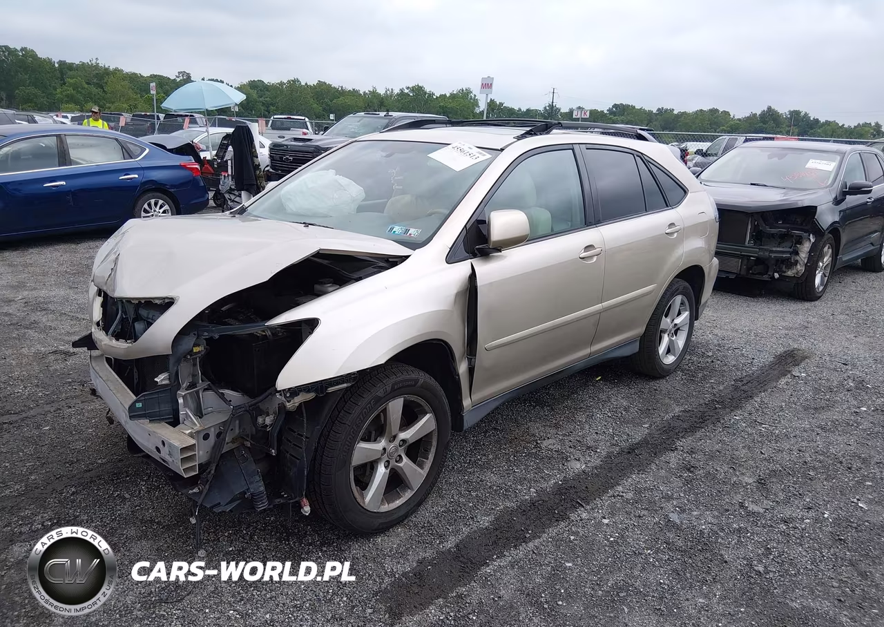 2004 Lexus Rx 330 VIN:2T2HA31U34C006059 - 2
