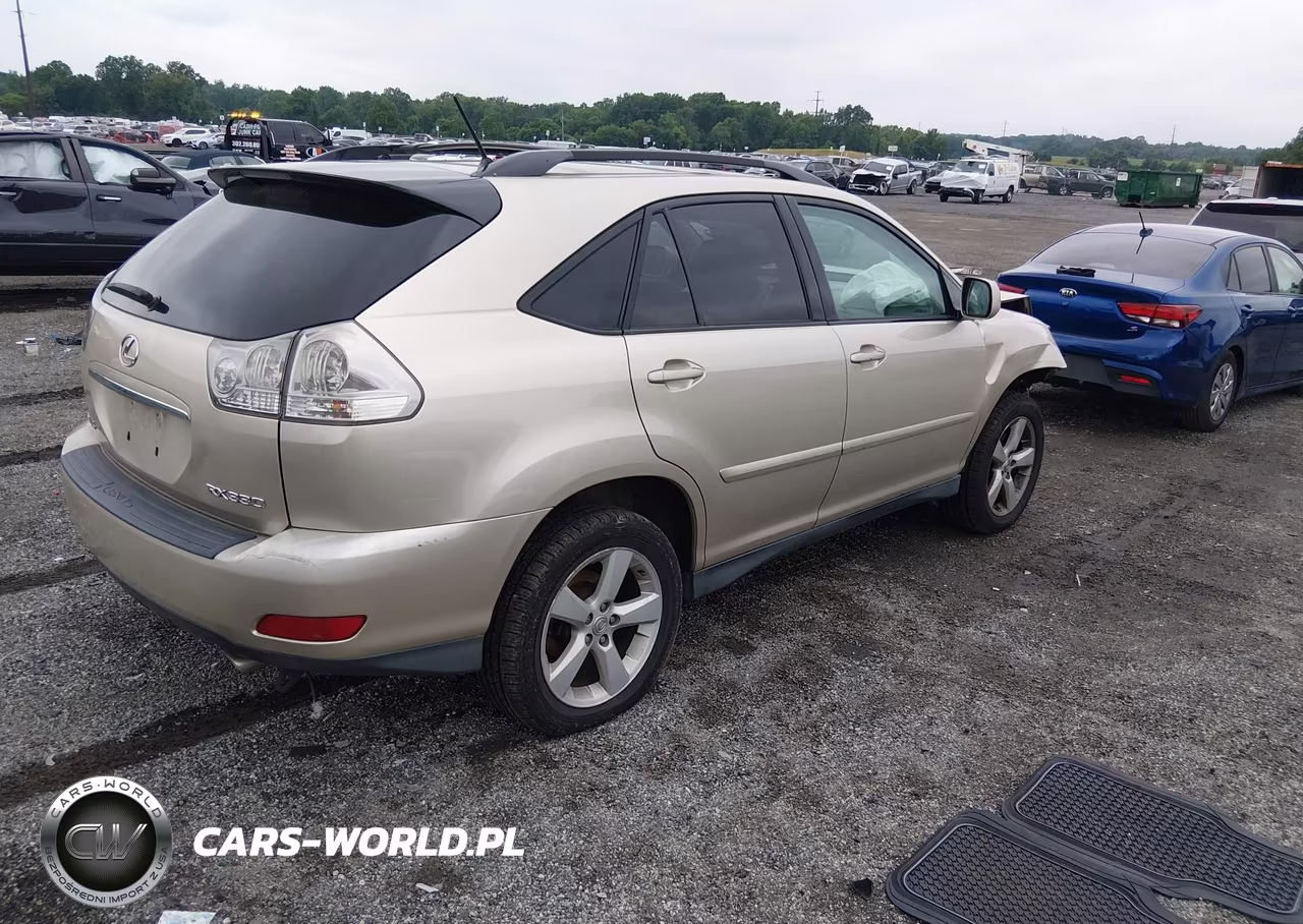 2004 Lexus Rx 330 VIN:2T2HA31U34C006059 - 4