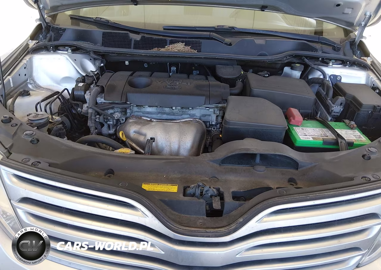 2011 Toyota Venza VIN:4T3ZA3BB5BU047415 - 10