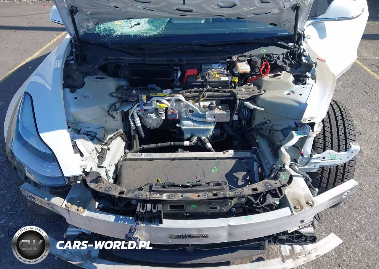 2020 Tesla Model 3 Standard Range Plus Rear-Wheel Drive-Standard Range Rear-Wheel Drive VIN:5YJ3E1EA7LF613194 - 10