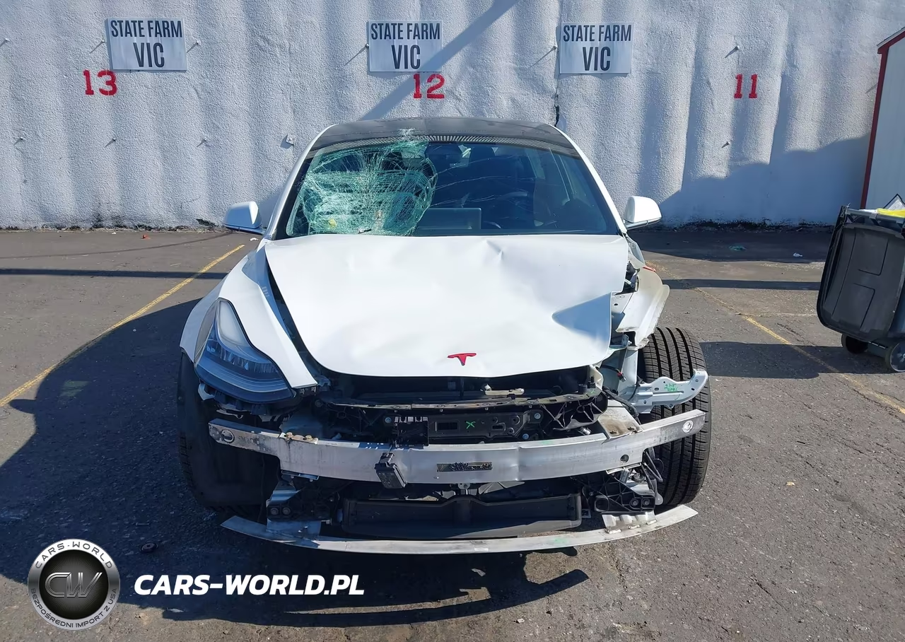 2020 Tesla Model 3 Standard Range Plus Rear-Wheel Drive-Standard Range Rear-Wheel Drive VIN:5YJ3E1EA7LF613194 - 12