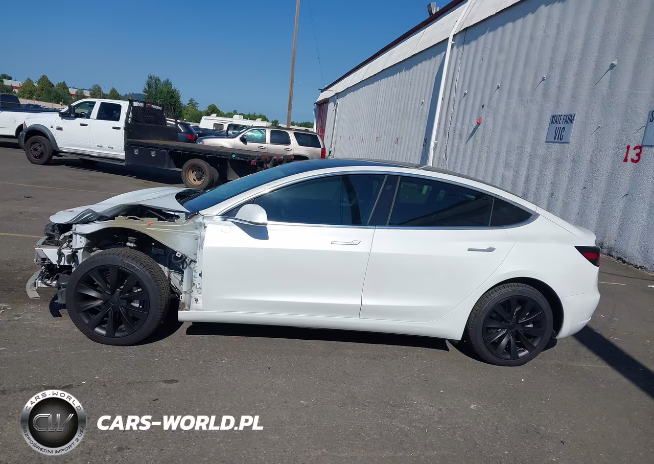 2020 Tesla Model 3 Standard Range Plus Rear-Wheel Drive-Standard Range Rear-Wheel Drive VIN:5YJ3E1EA7LF613194 - 14