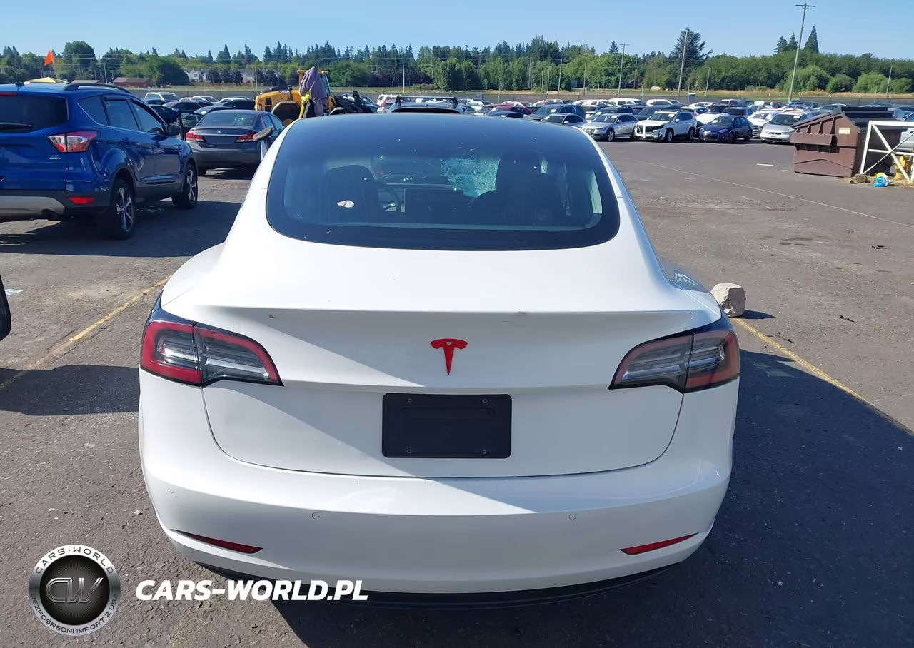 2020 Tesla Model 3 Standard Range Plus Rear-Wheel Drive-Standard Range Rear-Wheel Drive VIN:5YJ3E1EA7LF613194 - 16