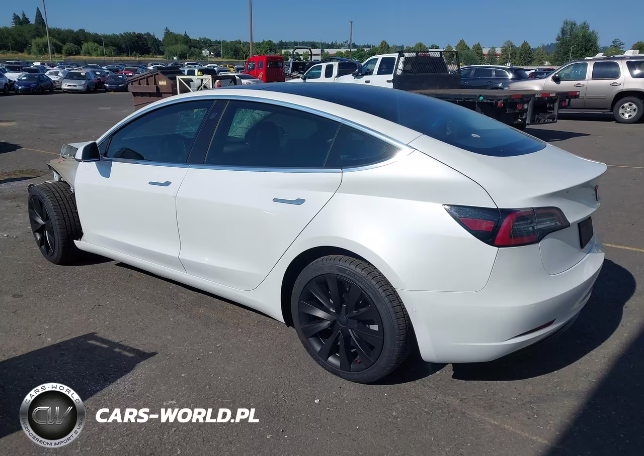 2020 Tesla Model 3 Standard Range Plus Rear-Wheel Drive-Standard Range Rear-Wheel Drive VIN:5YJ3E1EA7LF613194 - 3