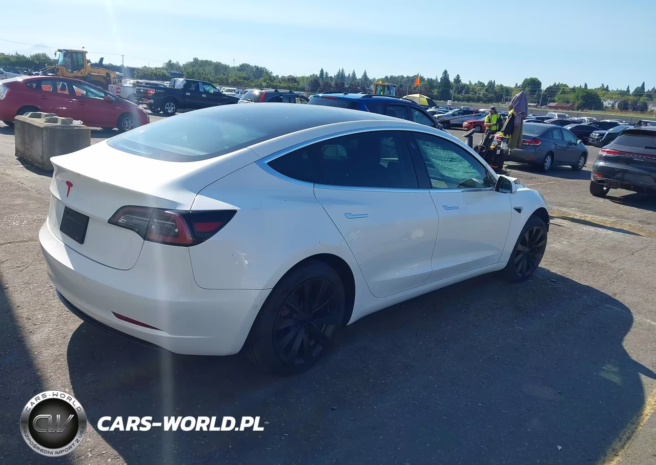 2020 Tesla Model 3 Standard Range Plus Rear-Wheel Drive-Standard Range Rear-Wheel Drive VIN:5YJ3E1EA7LF613194 - 4