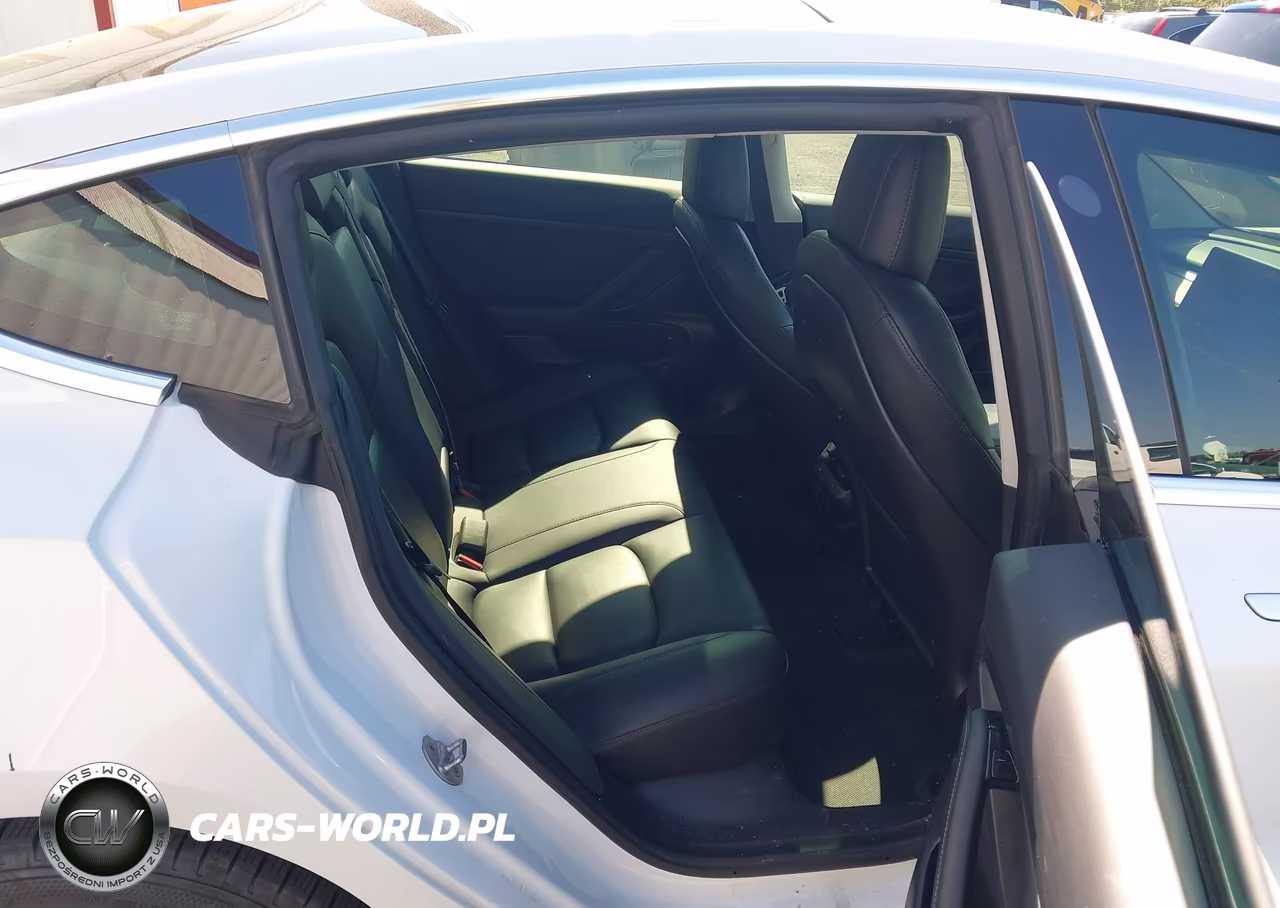 2020 Tesla Model 3 Standard Range Plus Rear-Wheel Drive-Standard Range Rear-Wheel Drive VIN:5YJ3E1EA7LF613194 - 8