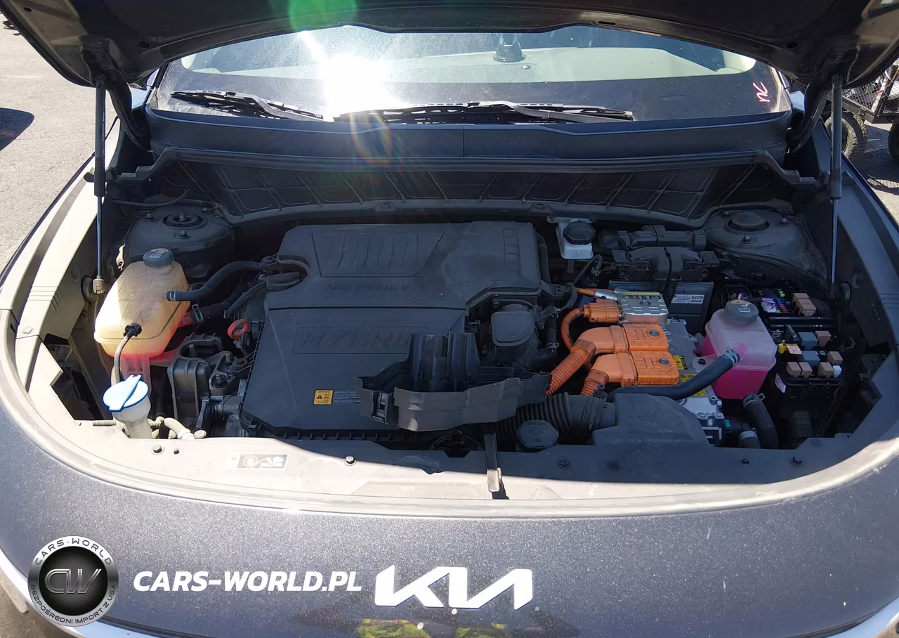 2024 Kia Niro Lx VIN:KNDCP3LE4R5141784 - 10