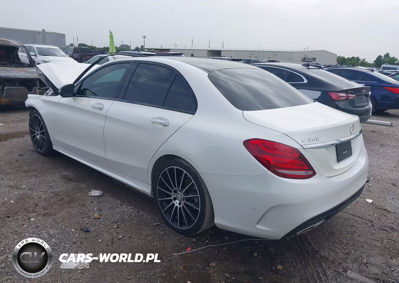 2017 Mercedes-Benz C 300 Sport VIN:55SWF4JBXHU204218 - 3