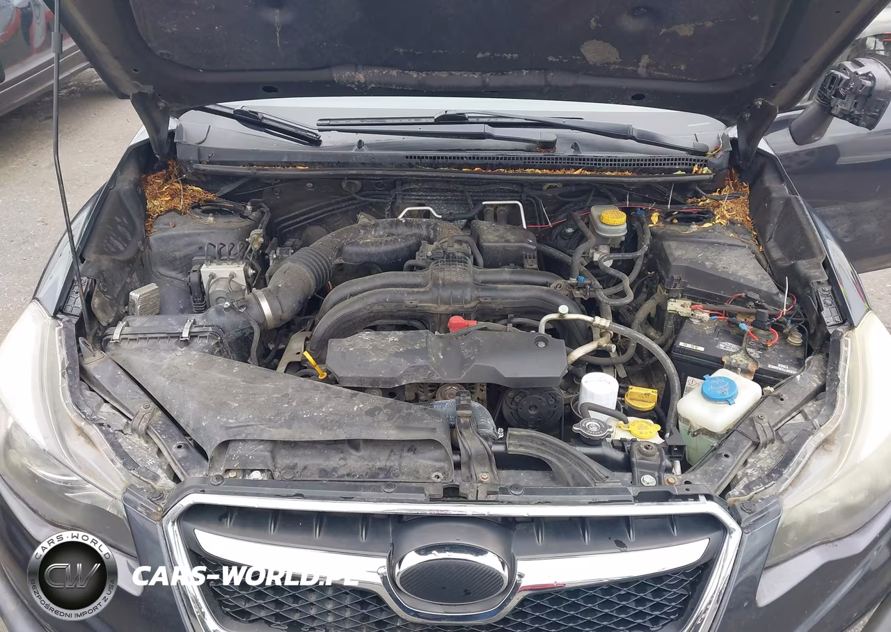 2014 Subaru Xv Crosstrek 2.0I Premium VIN:JF2GPACC8E8272408 - 10
