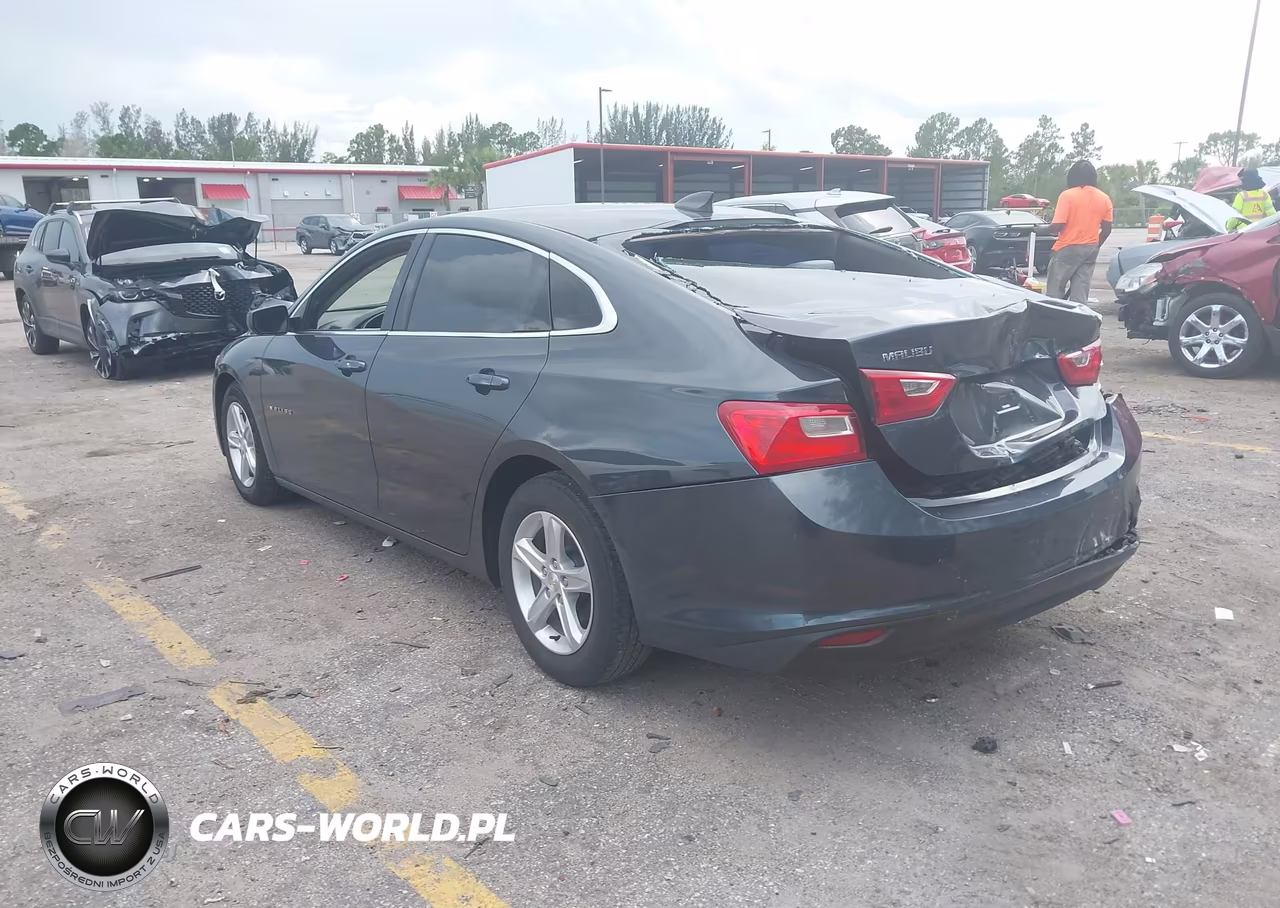 2020 Chevrolet Malibu Fwd 1Fl VIN:1G1ZC5ST8LF116091 - 3