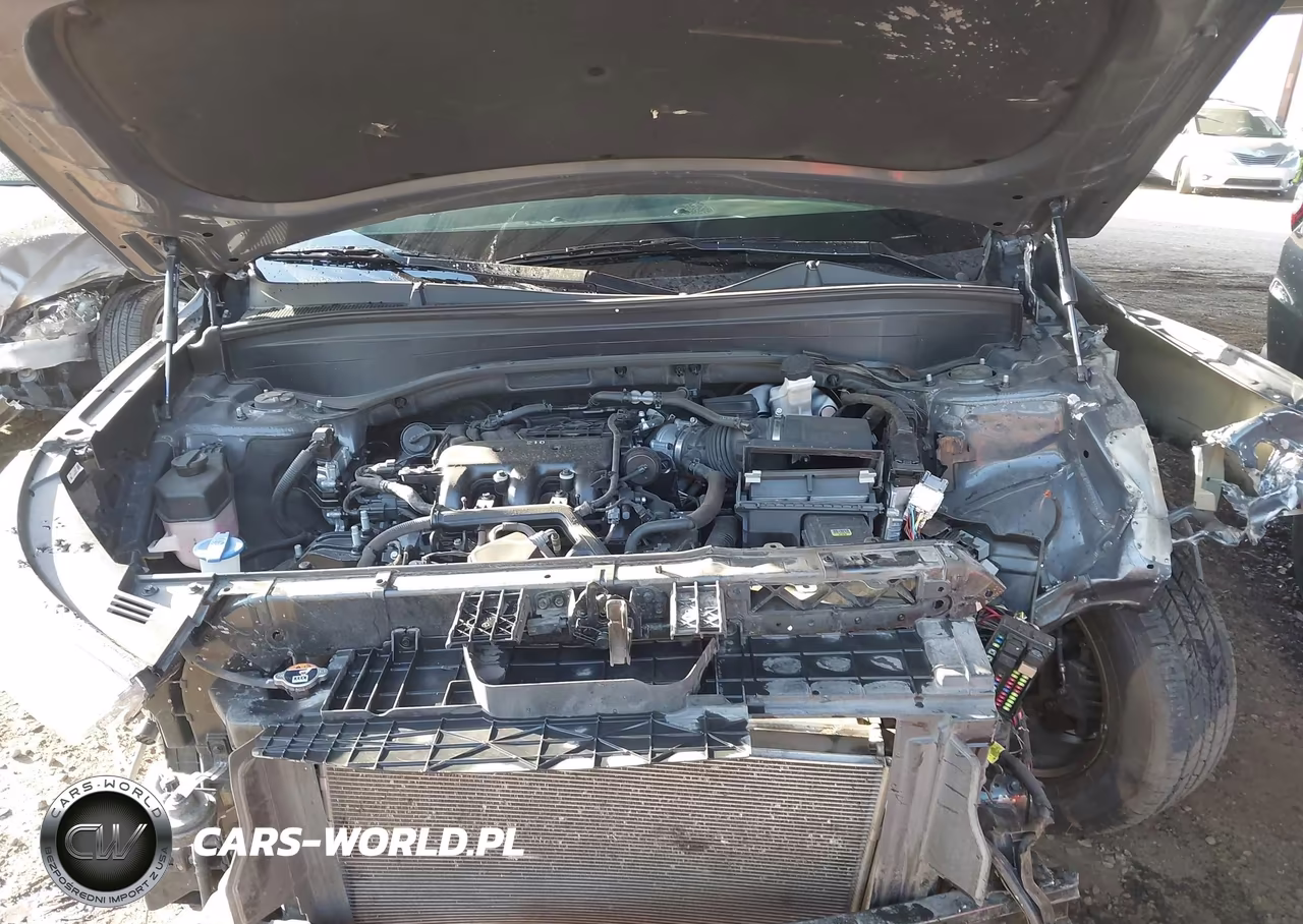 2021 Hyundai Palisade Sel VIN:KM8R2DHE8MU313848 - 10