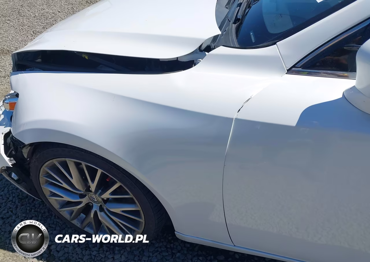 2014 Lexus Is 250 VIN:JTHBF1D22E5021031 - 19