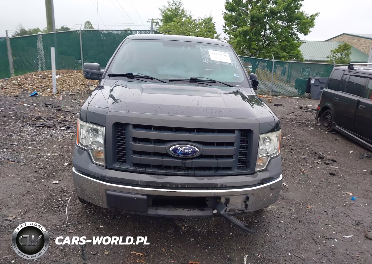 2009 Ford F-150 Xl-Xl W-Midbox Prep-Xlt-Xlt W-Midbox Prep VIN:1FTRF12889KB44282 - 12