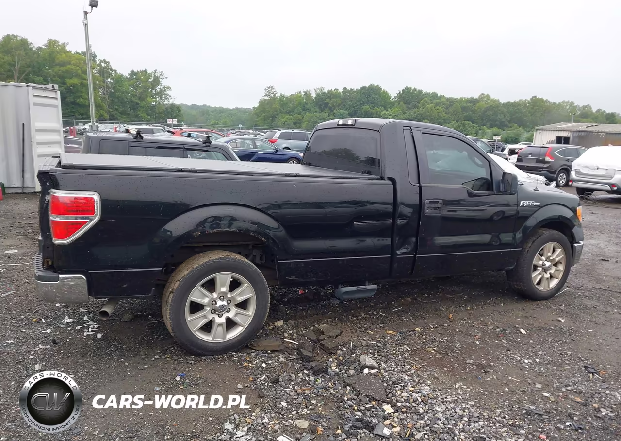 2009 Ford F-150 Xl-Xl W-Midbox Prep-Xlt-Xlt W-Midbox Prep VIN:1FTRF12889KB44282 - 13