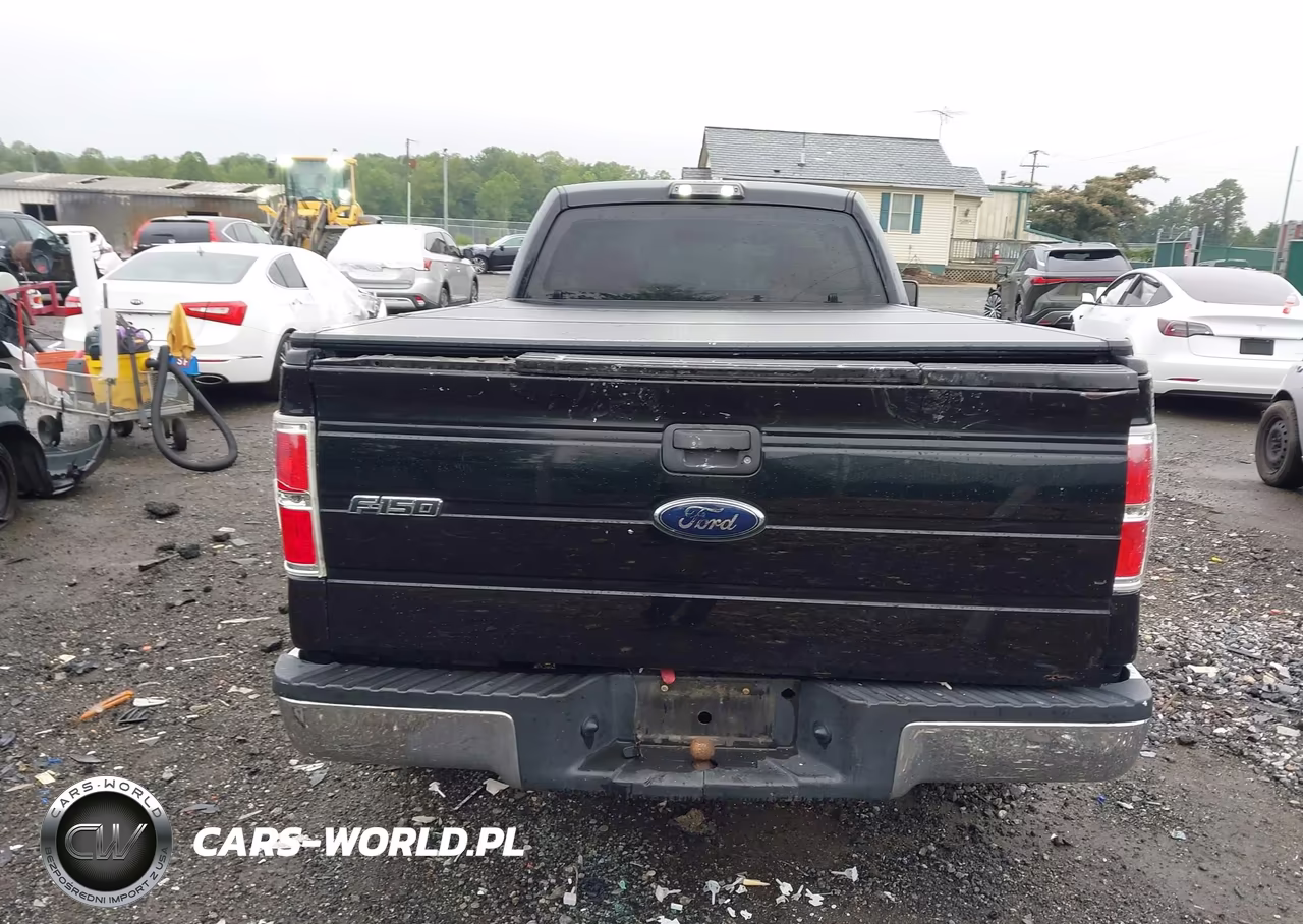 2009 Ford F-150 Xl-Xl W-Midbox Prep-Xlt-Xlt W-Midbox Prep VIN:1FTRF12889KB44282 - 16