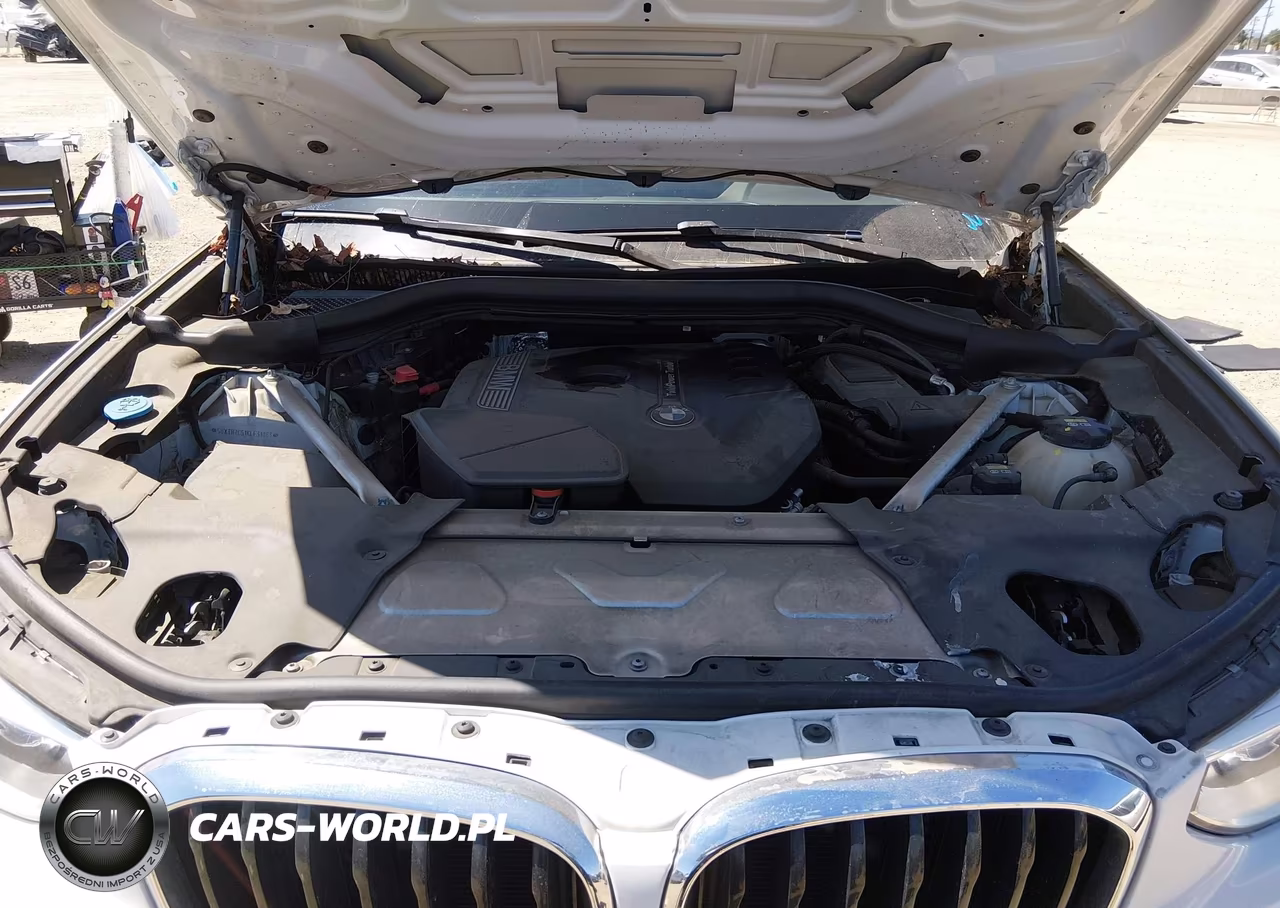 2019 BMW X3 Sdrive30I VIN:5UXTR7C51KLF31083 - 10