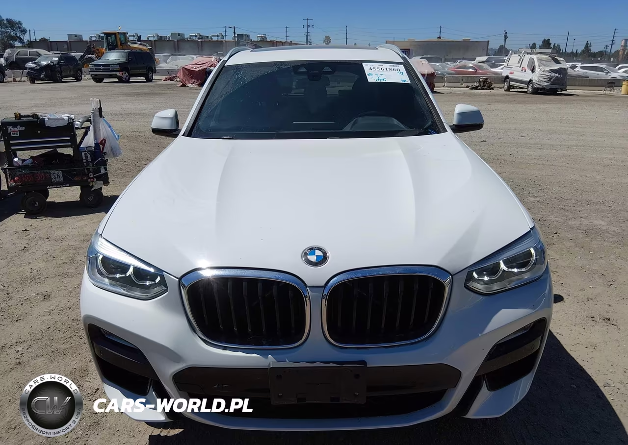 2019 BMW X3 Sdrive30I VIN:5UXTR7C51KLF31083 - 12