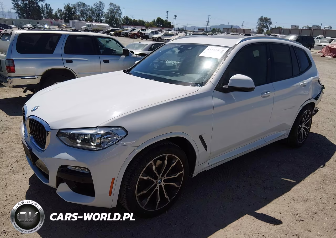 2019 BMW X3 Sdrive30I VIN:5UXTR7C51KLF31083 - 2