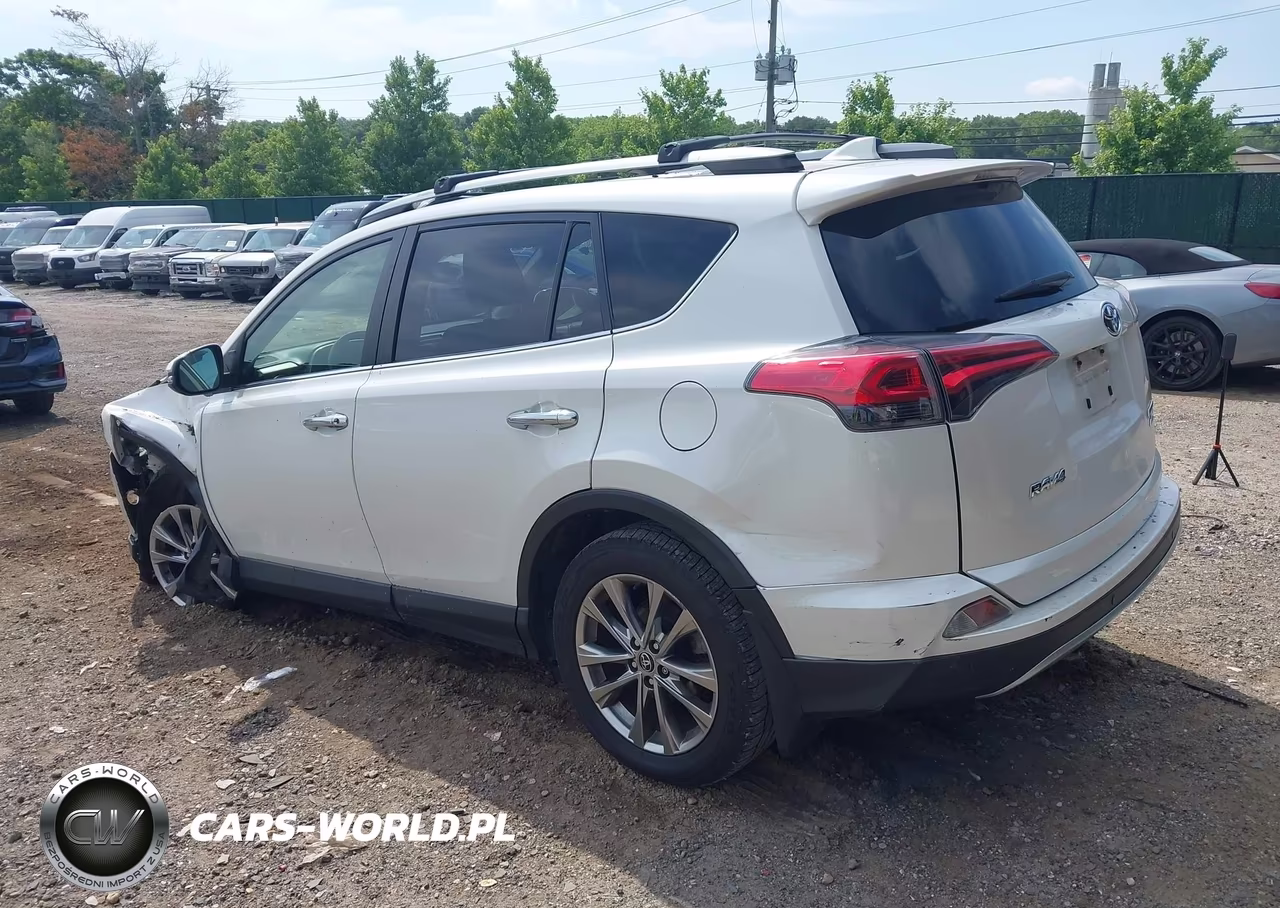 2017 Toyota Rav4 Limited VIN:JTMDFREV4HJ711926 - 3