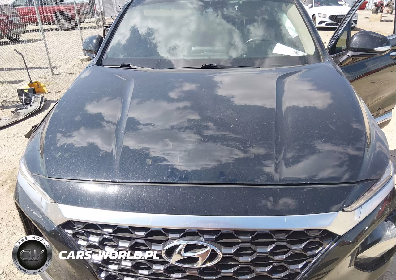 2020 Hyundai Santa Fe Sel 2.0T VIN:5NMS33AA2LH274815 - 10