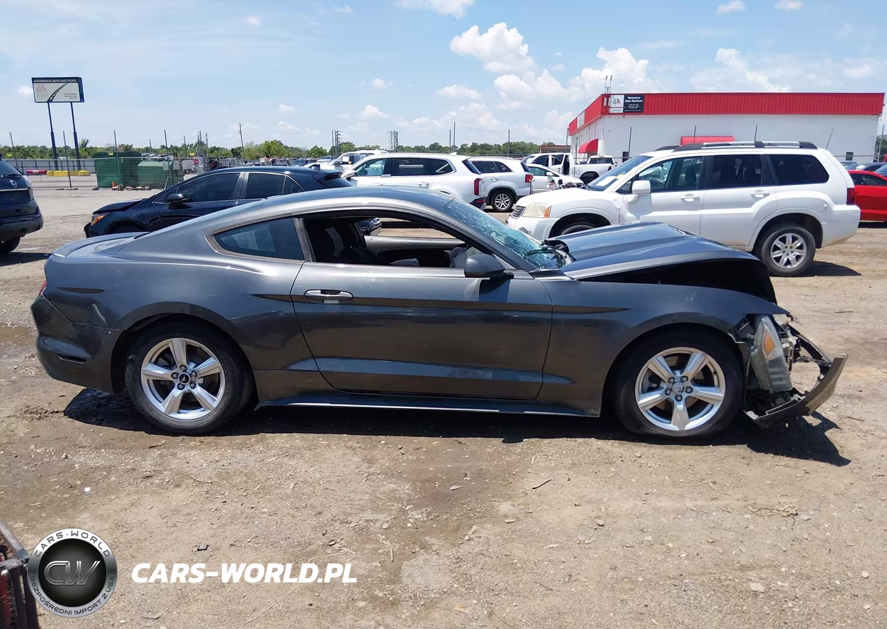 2015 Ford Mustang Ecoboost VIN:1FA6P8TH3F5335616 - 12