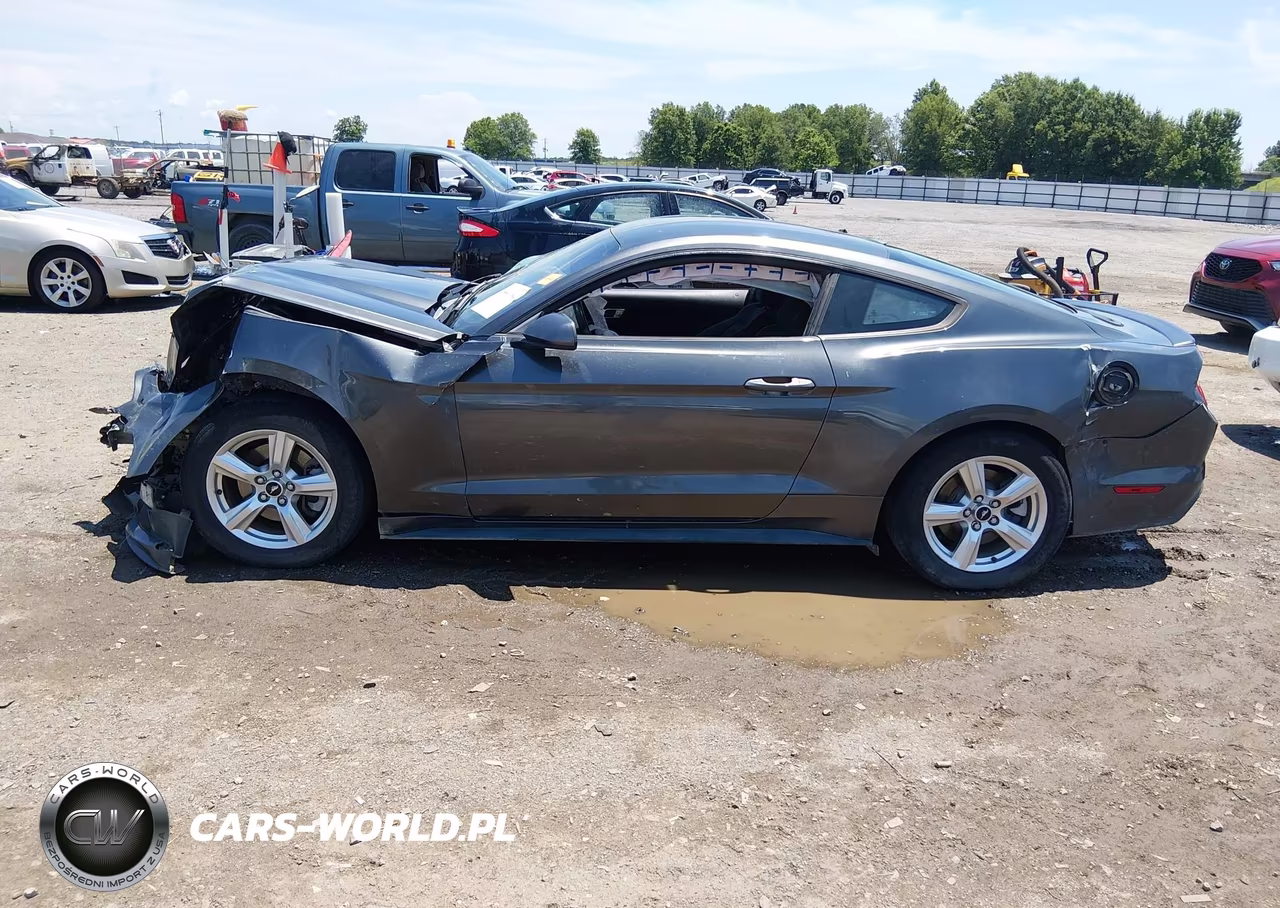2015 Ford Mustang Ecoboost VIN:1FA6P8TH3F5335616 - 13