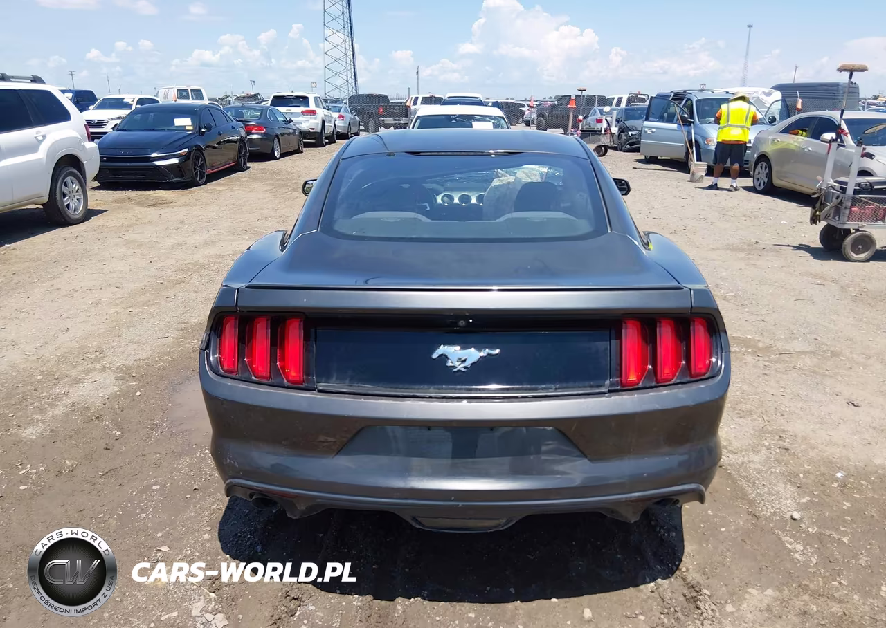 2015 Ford Mustang Ecoboost VIN:1FA6P8TH3F5335616 - 15