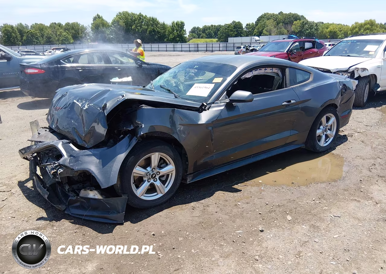 2015 Ford Mustang Ecoboost VIN:1FA6P8TH3F5335616 - 2