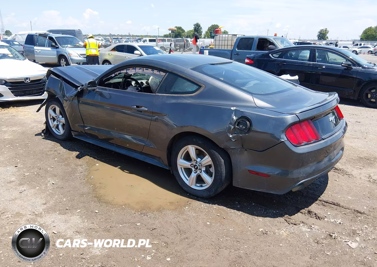 2015 Ford Mustang Ecoboost VIN:1FA6P8TH3F5335616 - 3