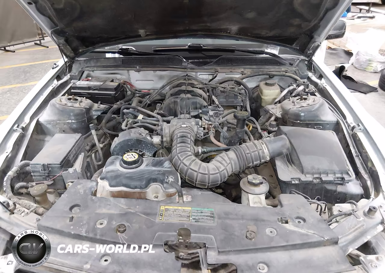 2005 Ford Mustang V6 Deluxe-V6 Premium VIN:1ZVFT80N955109737 - 10