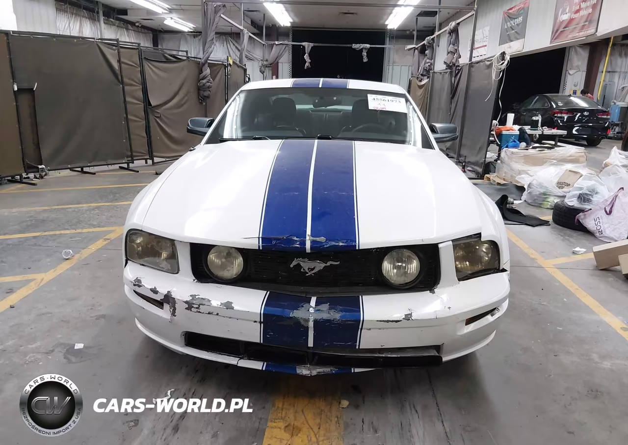 2005 Ford Mustang V6 Deluxe-V6 Premium VIN:1ZVFT80N955109737 - 12