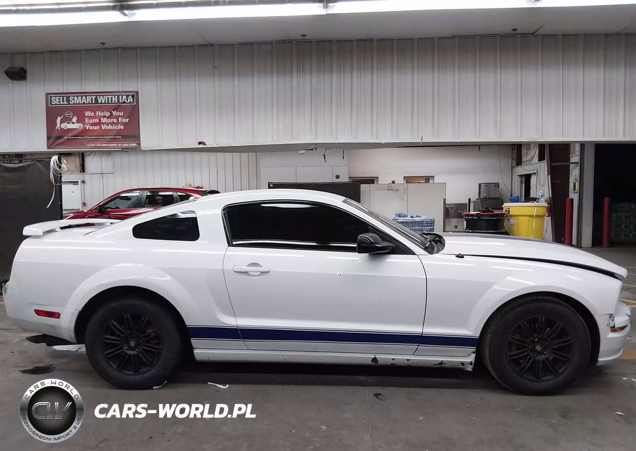 2005 Ford Mustang V6 Deluxe-V6 Premium VIN:1ZVFT80N955109737 - 13